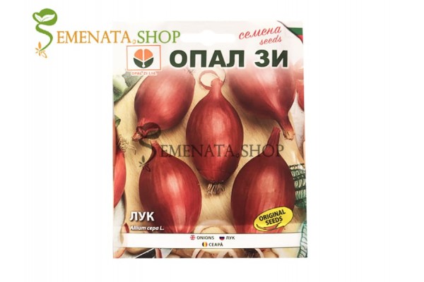 Семена на лук червен дълъг Роса Лунга - Allium cepa